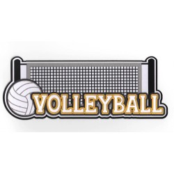 Volleyball