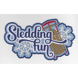 Sledding Fun
